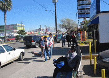 locales cedros imagen